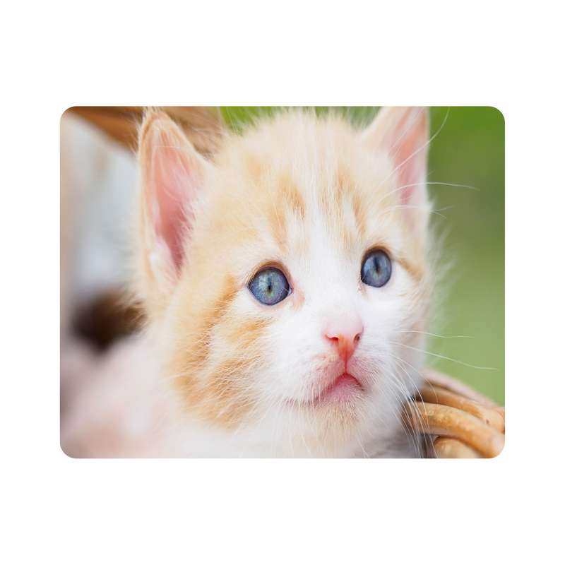 ماوس پد اطلس آبی طرح گربه  مدل T7967