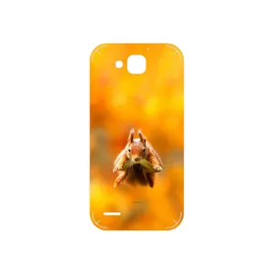 MAHOOT Squirrel Cover Sticker for Huawei Ascend G750