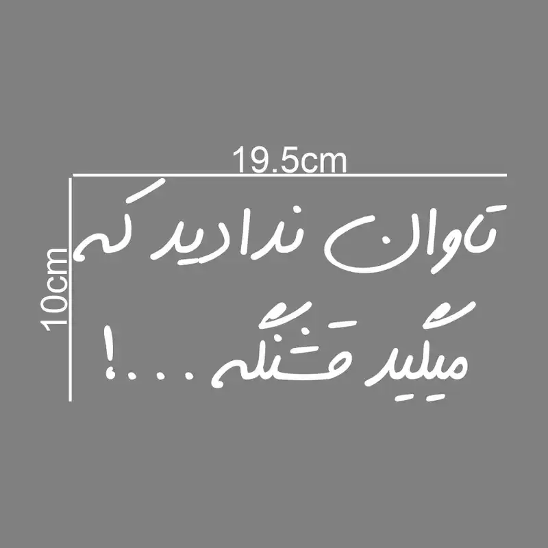 برچسب بدنه خودرو طرح تاوان ندادید که میگید قشنگه کد MT-W437