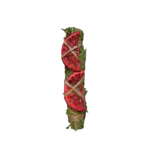 اسماج مدل چند گیاه پرتقال