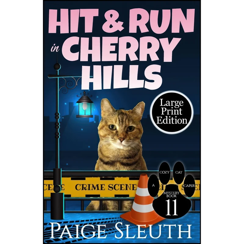 کتاب Hit and Run in Cherry Hills  اثر Paige Sleuth انتشارات تازه ها