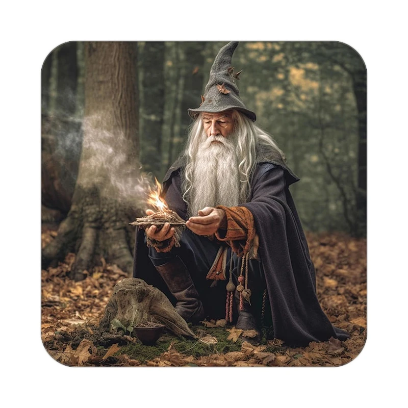 زیر لیوانی کاکتی طرح هری پاتر Harry Potter مدل mp41385