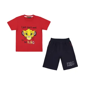Teddy Bear 2011309-72 Short sleeveT-Shirt And Shorts Set For Boys