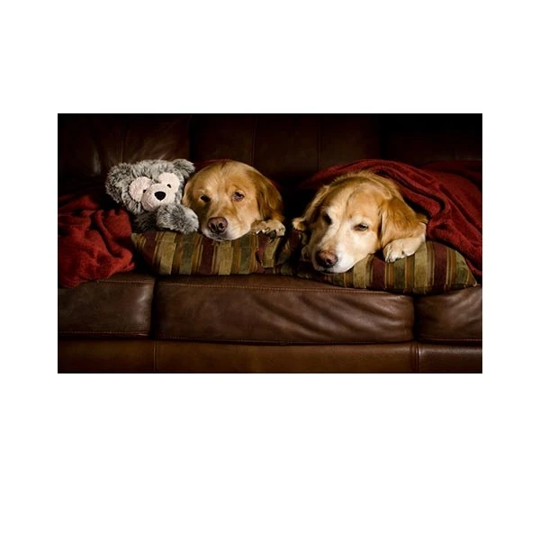   پادری مدل حیوانات کد HSHMA0082 سایز 76x46 سانتی متر