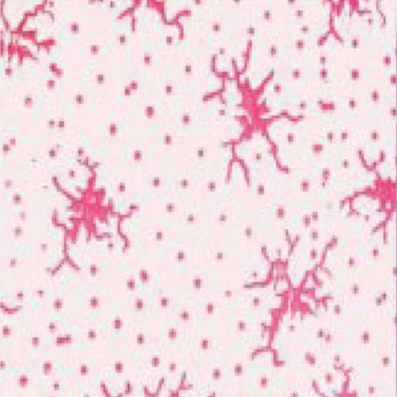 غلتک نقاشی مدل Y009 سایز 6 اینچ