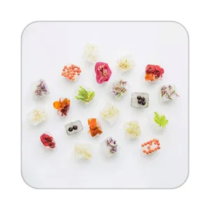 زیر لیوانی کاکتی طرح گل مدل mp19362