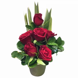 گلدان گل مدل کوچک رز طبیعی 