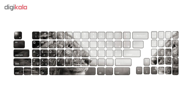 برچسب حروف فارسی کیبورد گراسیپا طرح Lion کد 102