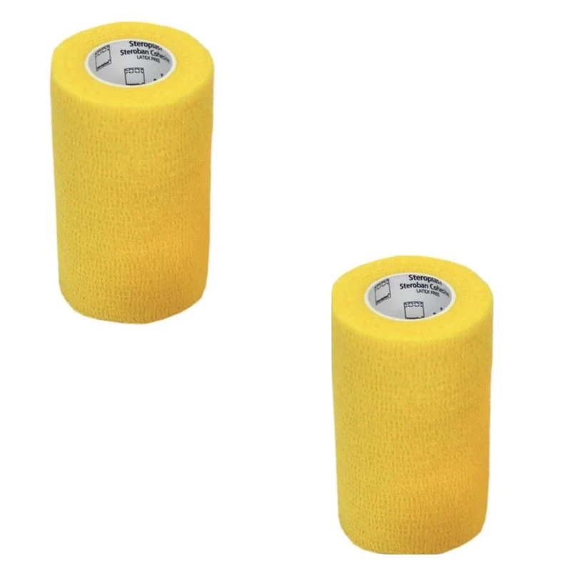 باند کشی مدل خودچسب 10 بسته دو عددی