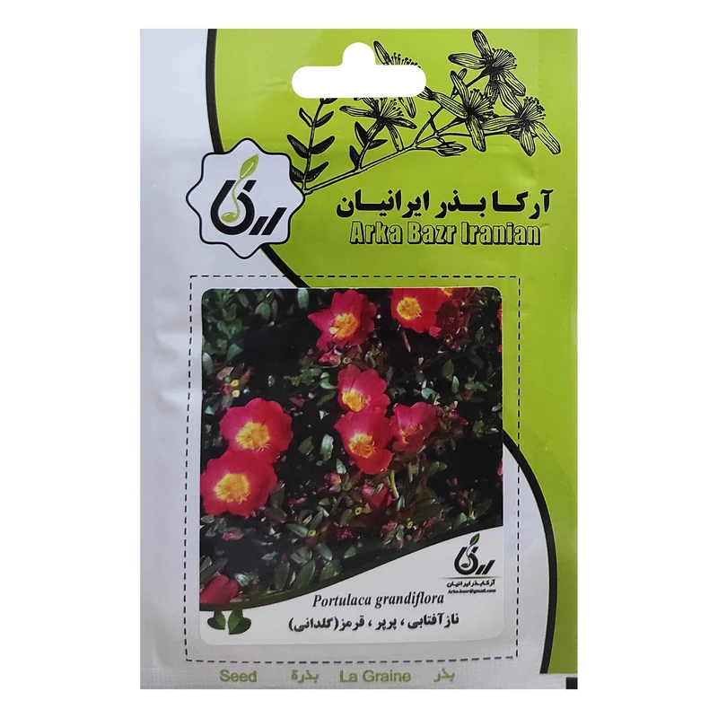  بذر ناز آفتابی پرپر قرمز گلدانی آرکا بذر ایرانیان کد ARK-026