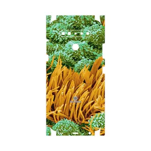 MAHOOT Atom Universe 6-FullSkin Cover Sticker for LG K41s