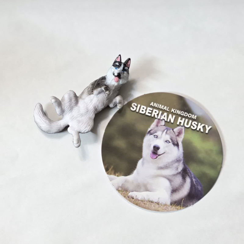 فیگور ناب سل مدل سگ هاسکی کد SIBERIAN HUSKY NAAB043 ارتفاع 8 سانتی متر