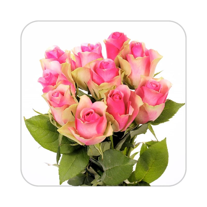 زیر لیوانی کاکتی طرح گل مدل mp16143