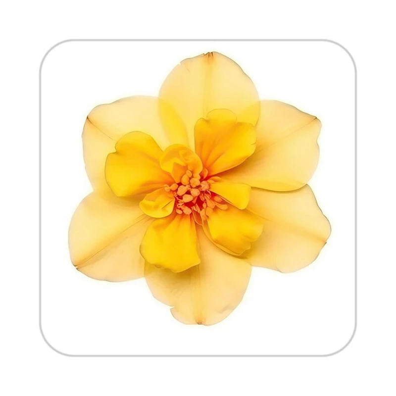 زیر لیوانی کاکتی طرح گل مدل mp17532