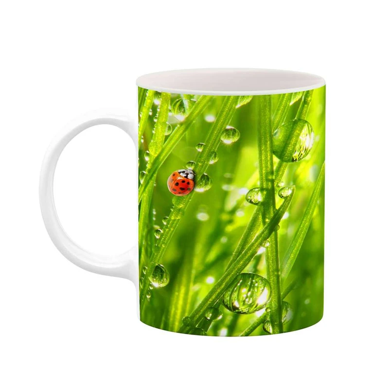 ماگ کاکتی مدل فانتزی کد mgh20566