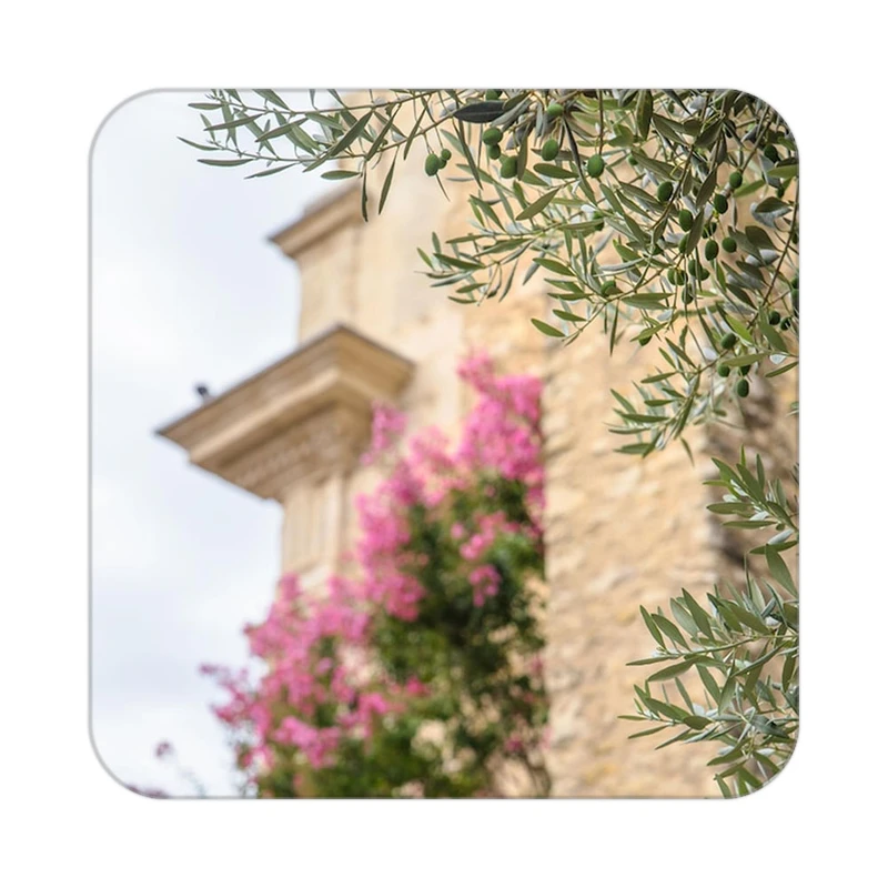 زیر لیوانی کاکتی طرح گل مدل mp19474