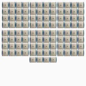 کلید تک پل لگرند مدل پاریس بسته ۱۰۰ عددی