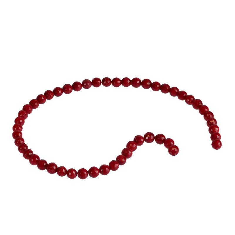 ریسه سنگ مرجان اقلیمه کد B266