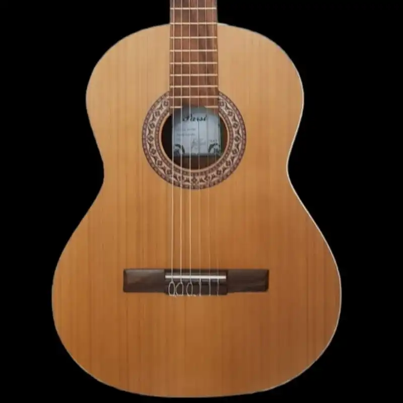 گیتار کلاسیک پارسی مدل P80