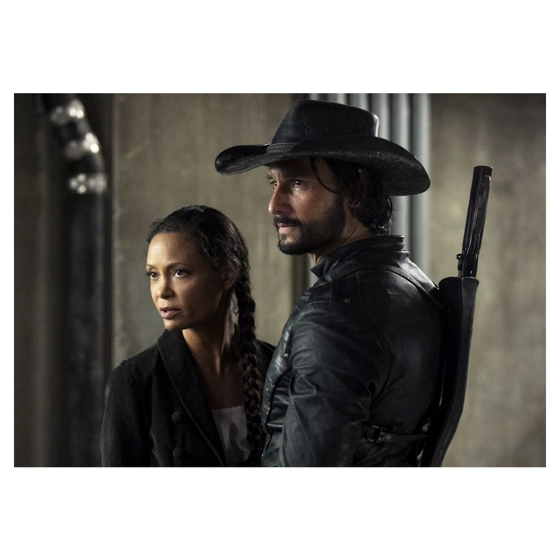 پوستر ماهتاب طرح وست ورلد Westworld کد 2548