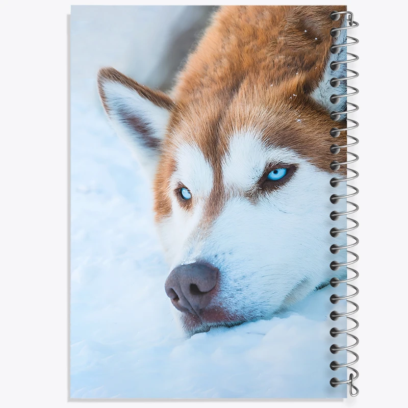 دفتر نقاشی 50 برگ خندالو طرح سگ هاسکی کد F5326