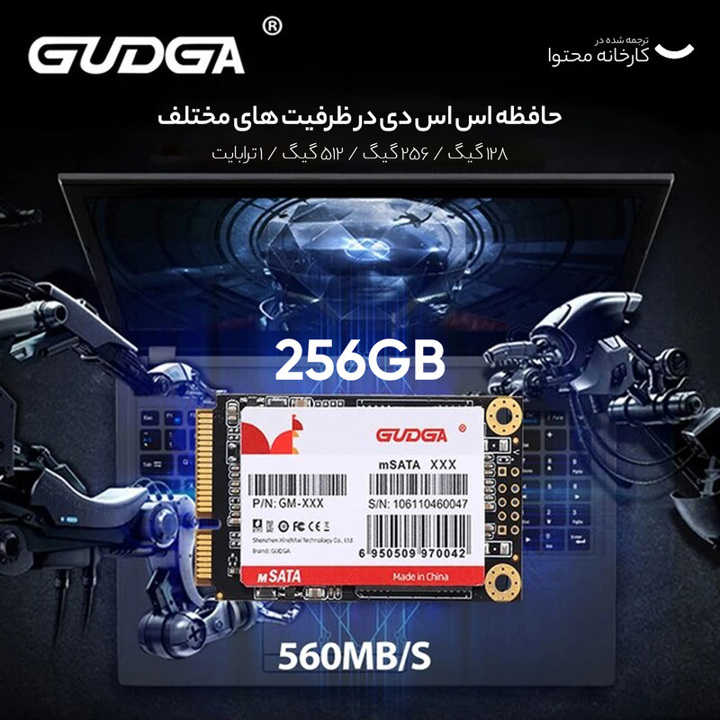 اس اس دی اینترنال گودگا مدل M.SATA ظرفیت 256 گیگابایت