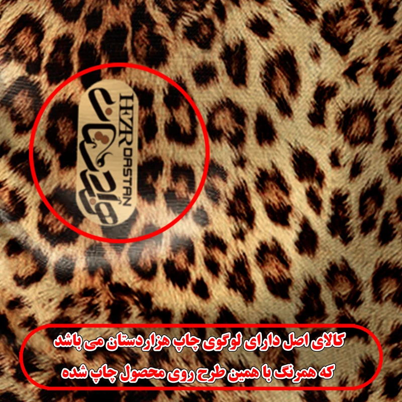 عکس شماره 2