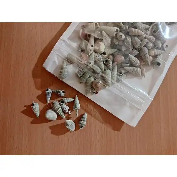 صدف تزیینی مدل SH2 وزن 90 گرم