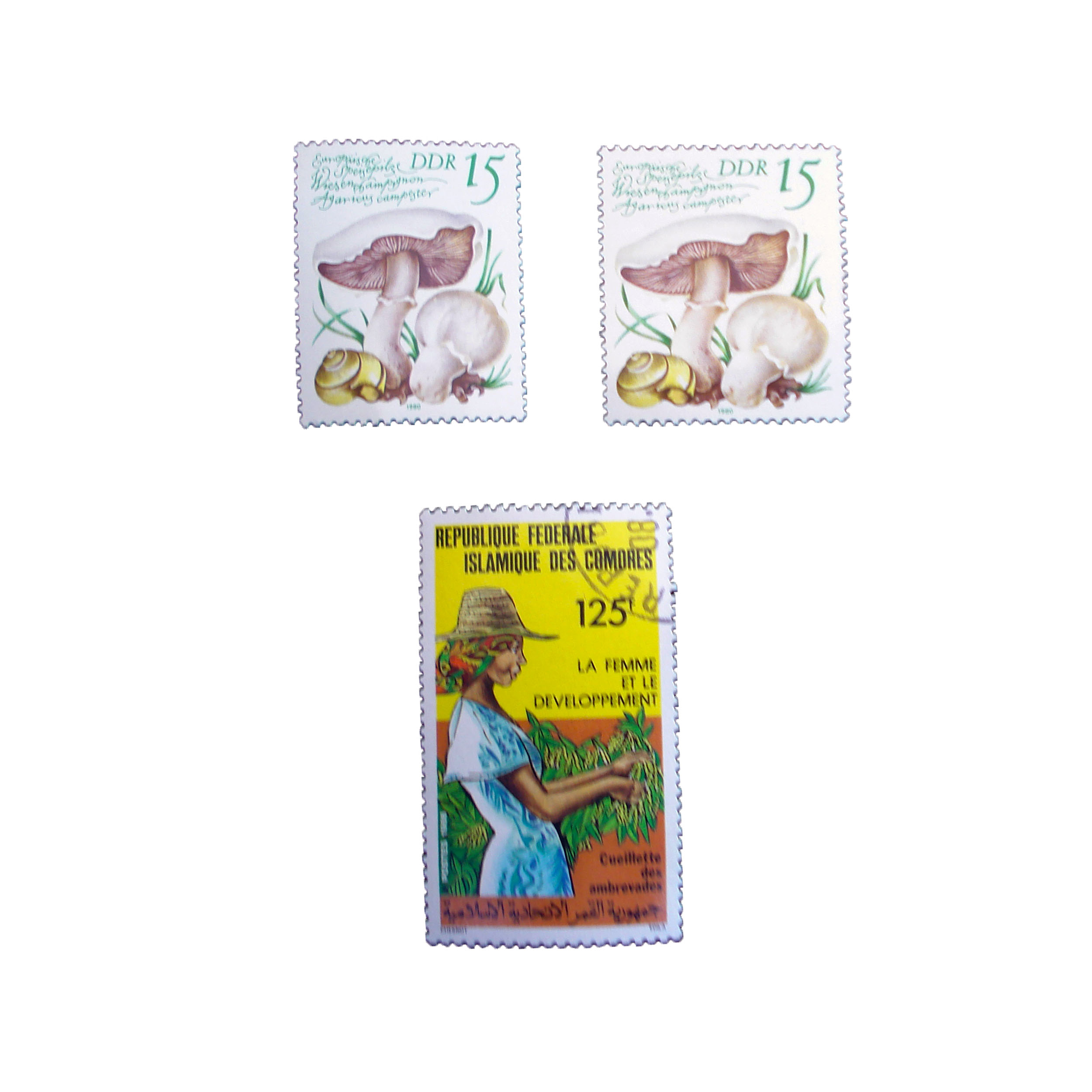 تمبر یادگاری مدل طبیعت کد tabi-212 مجموعه 3 عددی