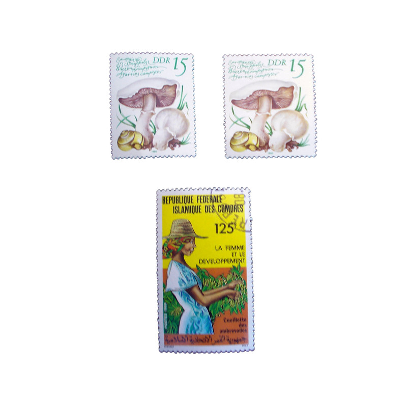 تمبر یادگاری مدل طبیعت کد tabi-212 مجموعه 3 عددی