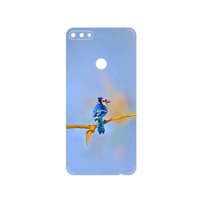 برچسب پوششی ماهوت مدل Cyanocitta cristata مناسب برای گوشی موبایل هوآوی Y7 Prime 2018