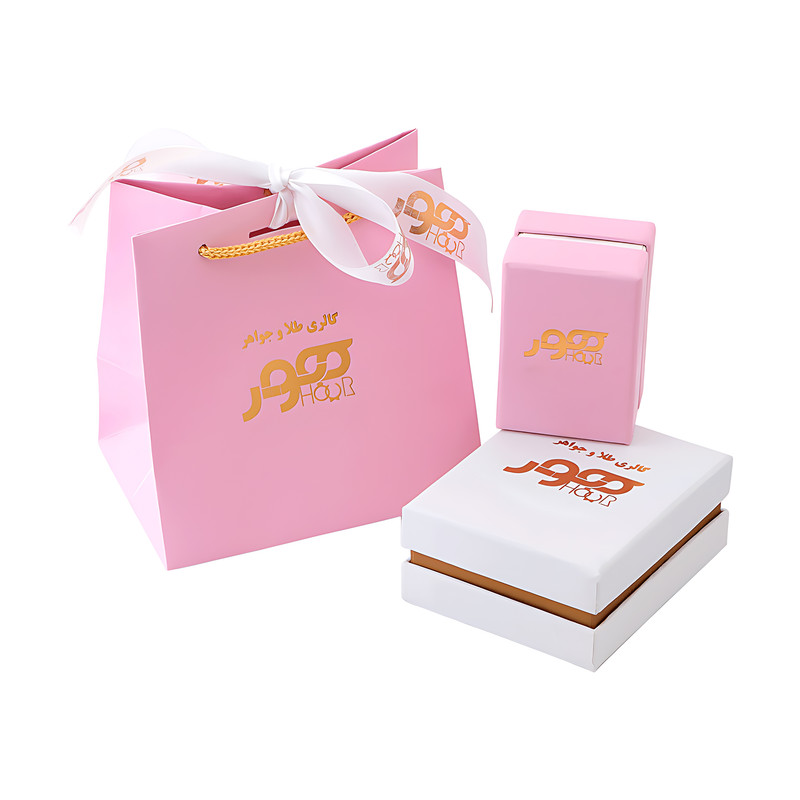 گوشواره طلا 18 عیار دخترانه هور گالری مدل AKE116