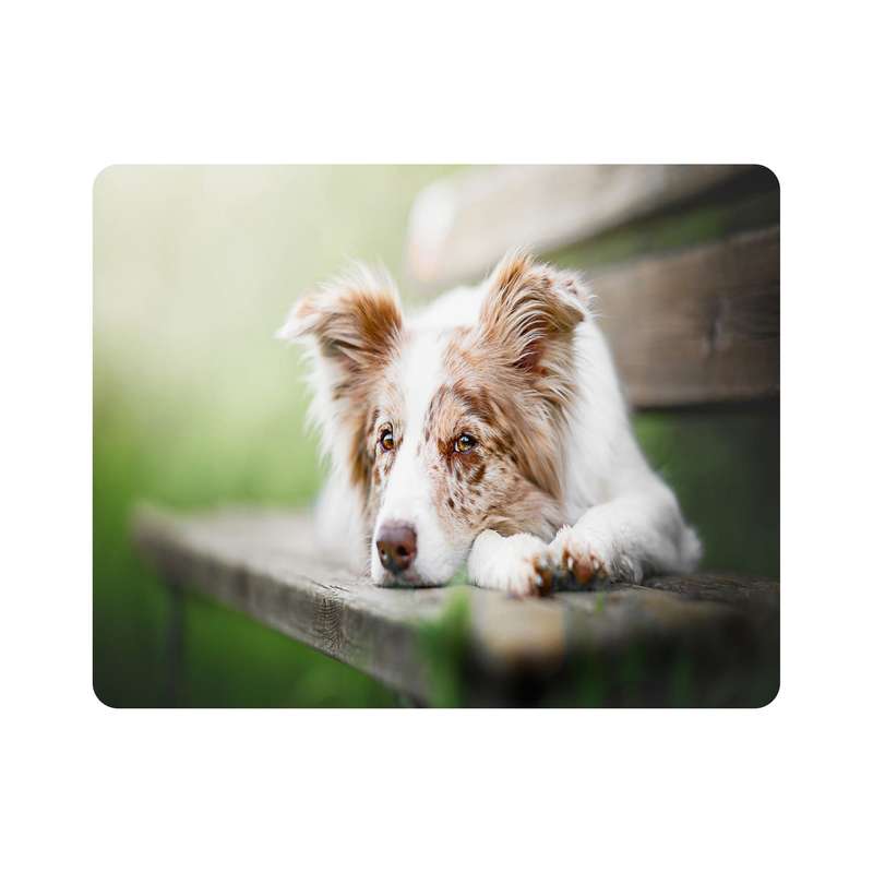 ماوس پد اطلس آبی  طرح سگ  مدل T7996