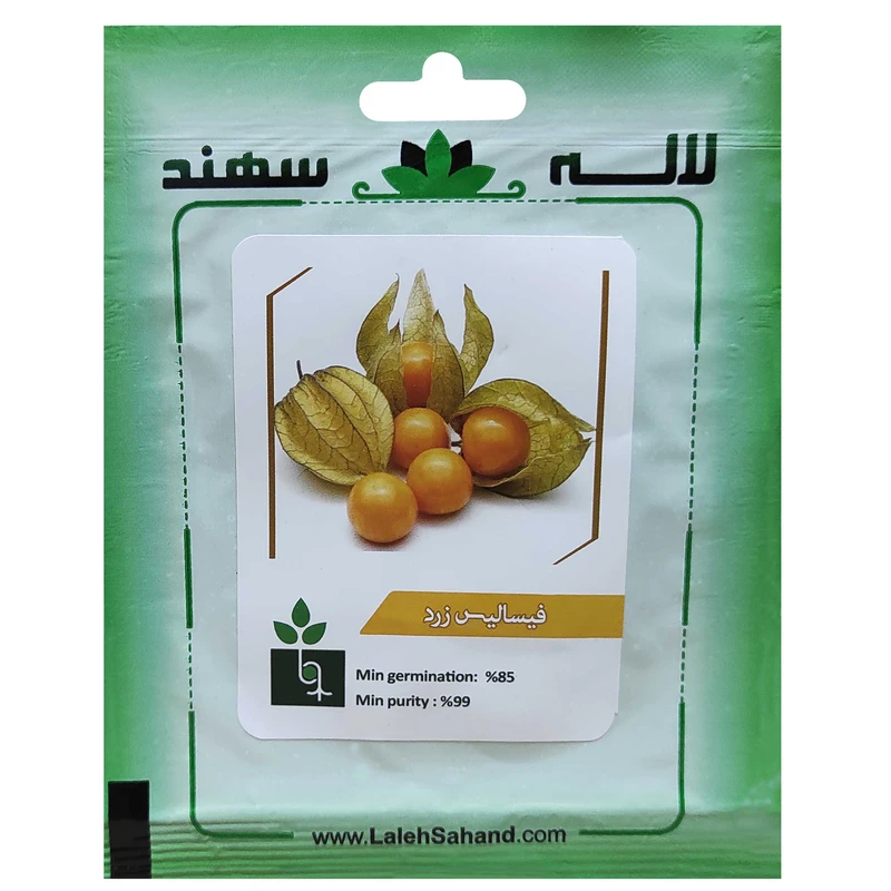 بذر فیسالیس زرد لاله سهند کد LSP-081