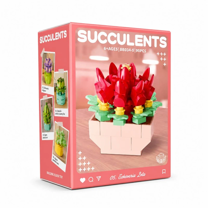 ساختنی 90 تکه مدل ECHEVERIA LOLA