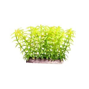 گیاه مصنوعی آکواریوم کد 71425