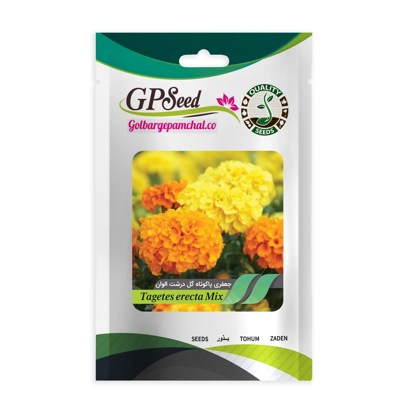 بذر گل جعفری گلبرگ پامچال کد GPF-038