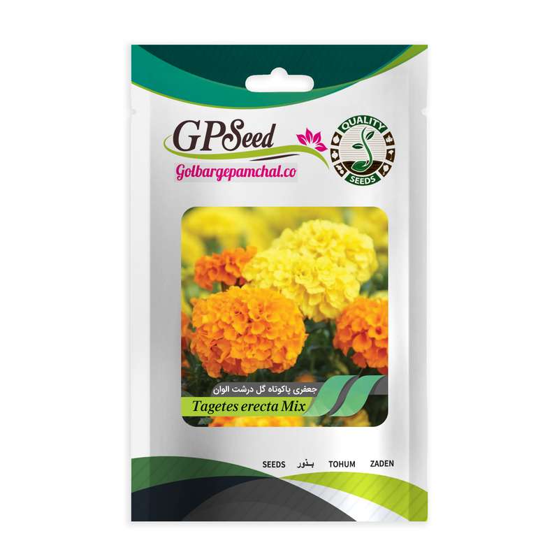 بذر گل جعفری پا کوتاه گل درشت زرد جی پی سید مدل GP15061 بذر گل جعفری پا کوتاه گل درشت زرد جی پی سید مدل GP15061