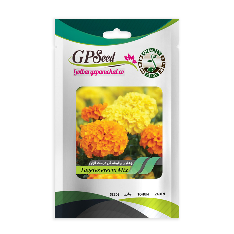 بذر گل جعفری پا کوتاه گل درشت زرد جی پی سید مدل GP15061 بذر گل جعفری پا کوتاه گل درشت زرد جی پی سید مدل GP15061
