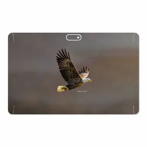 MAHOOT Eagle Cover Sticker for GLX W11 Plus