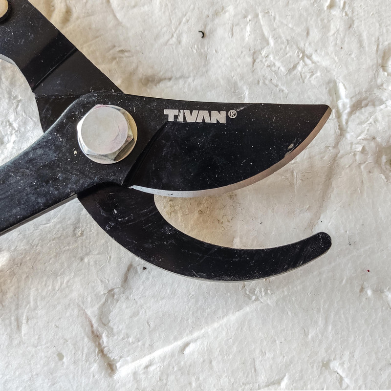 قیچی شاخه زن تیوان مدل QEFVL 20 -GB 10 قیچی شاخه زن تیوان مدل QEFVL 20 -GB 10