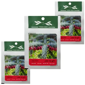 بذر بنسای کاج نوبل وانیا سید مدل T28 بسته 3 عددی