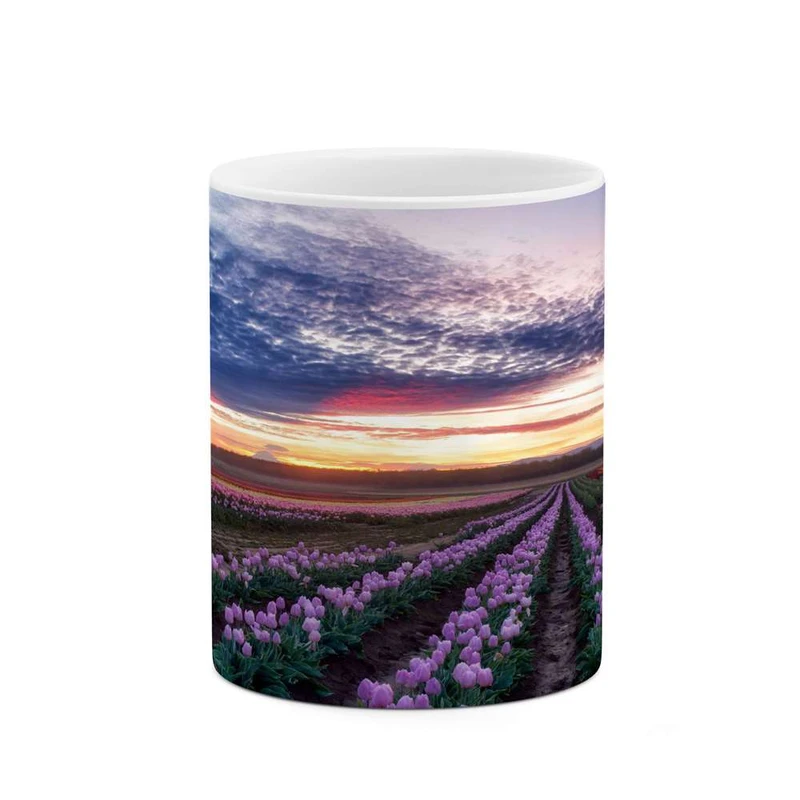 ماگ کاکتی مدل منظره کد mgh13163