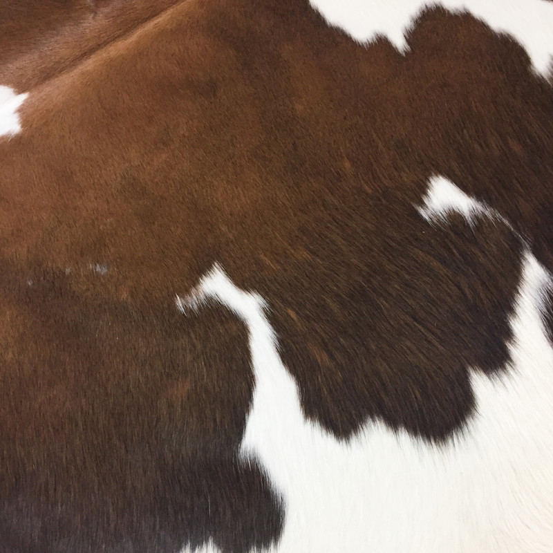 فرش پوست انارکارپت مدل AN131-P281