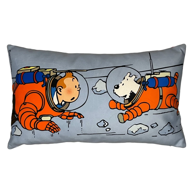 کوسن مدل تن تن و میلو روی ماه