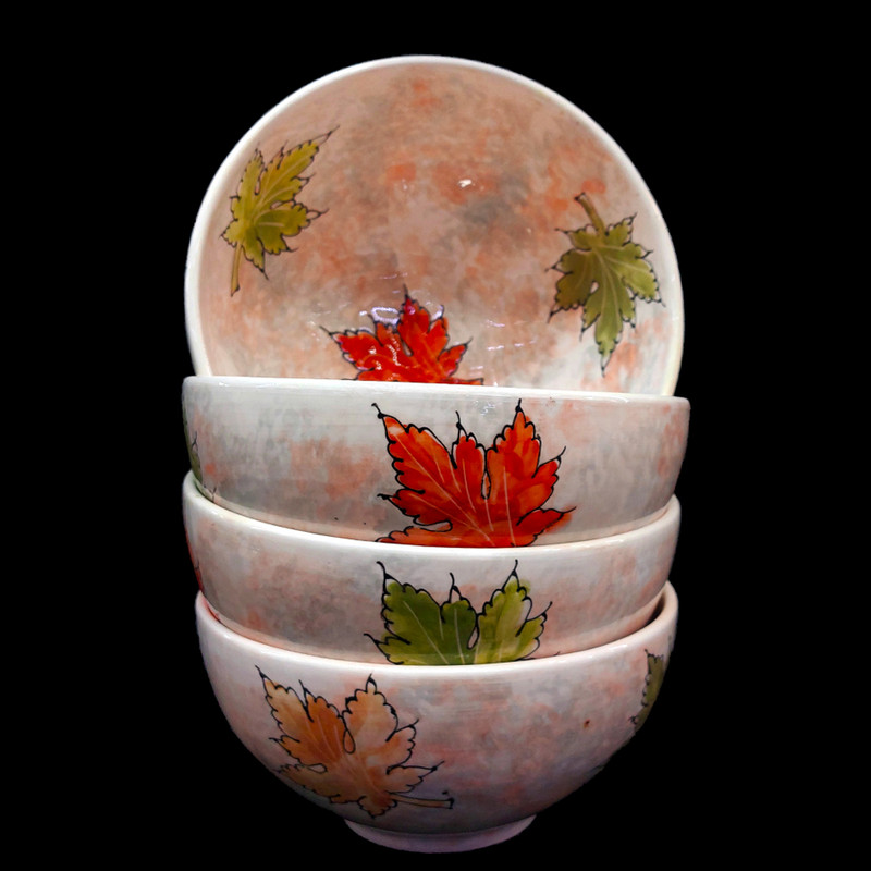 کاسه مدل پاییزی بسته 6 عددی