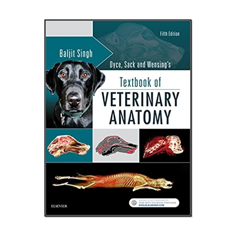 کتاب Dyce Sack and Wensings Textbook of Veterinary Anatomy 5e 5th Edition اثر جمعی از نویسندگان انتشارات مؤلفین طلایی 