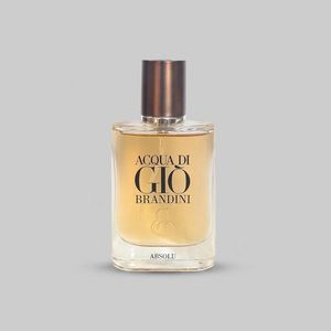 عطر جیبی مردانه برندینی مدل Absolu حجم 33 میلی لیتر