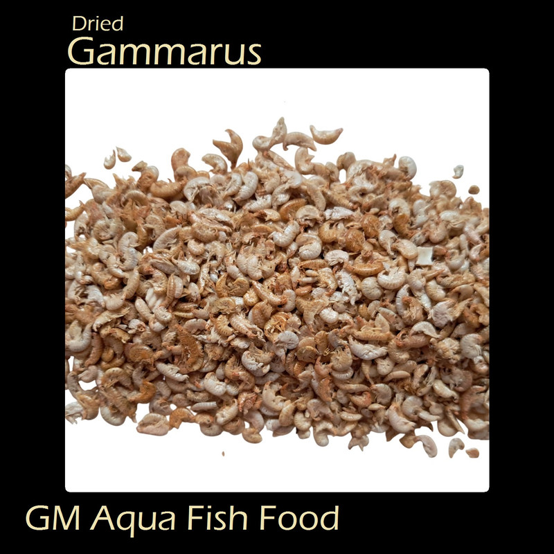 غذای ماهی جی‌ام آکوآ مدل گاماروس وزن 30 گرم