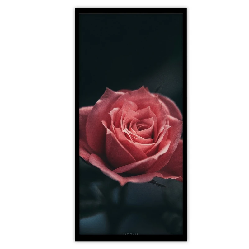 تابلو بکلیت طرح عکاسی طبیعت گل رز مدل B-S3422